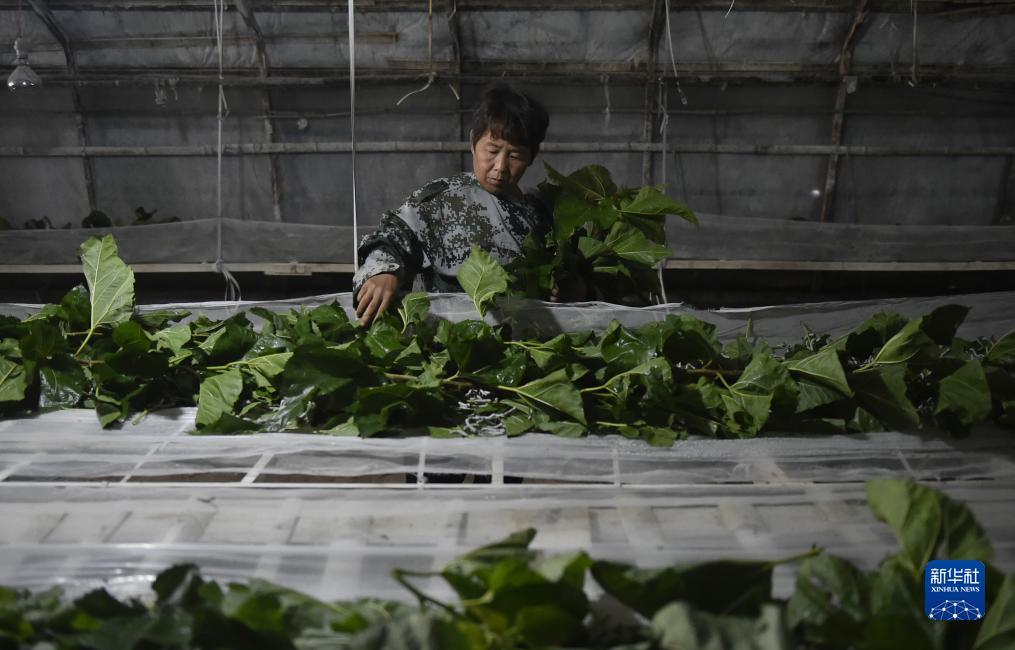 ag正网登录